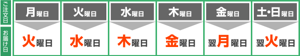 翌日お届け
